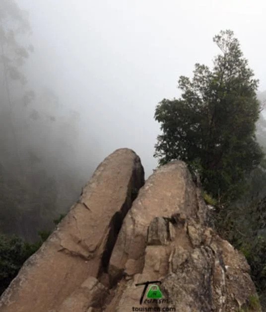 The Summer Bliss Package